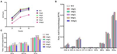 Propanol and 1, 3-propanediol enhance fatty acid accumulation synergistically in Schizochytrium ATCC 20888